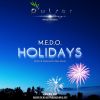 Download track Holidays