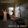 Download track Finding Beauty In Chaos