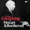 Download track 24. Walter Gieseking - Piano Sonata No. 17 In D Minor, Op. 31 No. 2 The Tempest II. Adagio