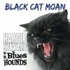 Download track Blues Before Breakfast