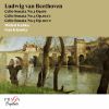 Download track Cello Sonata No. 5 In D Major, Op. 102 No. 2: II. Adagio Con Molto Sentimento D'affetto - Attacca
