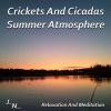 Download track Crickets, Birds And River