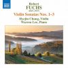 Download track Violin Sonata No. 3 In D Minor, Op. 68: I. Allegro Moderato, Ma Con Passione