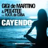 Download track Cayendo (Radio Edit)