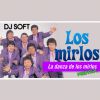 Download track La Danza De Los Mirlos (Remix)