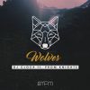 Download track Wolves (Radio Edit)