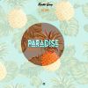 Download track Paradise Dance