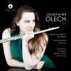 Download track Flute Concerto, FS 119: I. Allegro Moderato