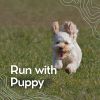 Download track A Pup At Peace