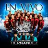 Download track El Gordo León (Los Hijos De Hernandez)
