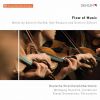 Download track Serenade For Strings In E Major, Op. 22, B. 52 V. Finale. Allegro Vivace