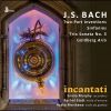Download track 06. Bach- Invention No. 13 In A Minor, BWV 784 (Arr. For Viola D'amore & Viola Da Gamba)