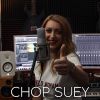 Download track Chop Suey