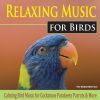 Download track Big Bird Ballet