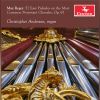 Download track Chorale Preludes, Op. 67, Vol. 1: No. 3, Aus Tiefer Not Schrei Ich Zu Dir