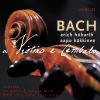 Download track Violin Sonata In G Major, BWV 1021: II. Vivace