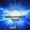 Download track Brightness 2021