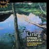 Download track 2. String Quartet No. 1 In G Minor Op. 27 - II. Romanze: Andantino - Allegro Agitato