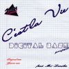 Download track C'est La Vie [Groove Mix]