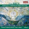 Download track 10 Lieder, Op. 24a Die Drei Zigeuner, Op. 24a, No. 4 (Arr. F. Brun For Voice And Orchestra)