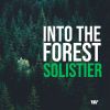 Download track Into The Forest
