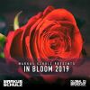 Download track Brightheart (GDJB In Bloom 2019) (Robert Nickson Remix)