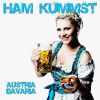 Download track Ham Kummst (Instrumental Club Extended)