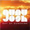 Download track Ray Of Sunshine