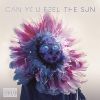Download track Can You Feel The Sun
