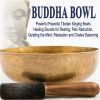 Download track Buddha Bowl Energy-Boost (Voice Of The Buddha)