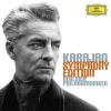 Download track Symphonie Nr. 40 G - Moll, KV 550 - 1 - Molto Allegro