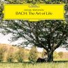 Download track J. S. Bach: Musette In D Major, BWV Anh. 126 (Notebook For Anna Magdalena Bach, 1725)