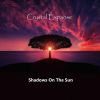 Download track Shadows On The Sun