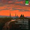 Download track Trio For Flute, Cello And Piano In D Major, Hob. XV: 16 : II. Andantino Piu´ Tosto Allegretto