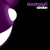 Download track Strobe (DJ Marky & S. P. Y. Remix)
