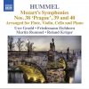 Download track Symphony No. 40 In G Minor, K. 550: III. Menuetto. Allegretto (Arr. J. N. Hummel For Flute, Violin, Cello And Piano)