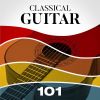 Download track Guitar Concerto No. 1 In A Major, Op. 30: I. Allegro Maestoso