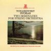 Download track Tchaikovsky: Serenade For Strings In C Major, Op. 48: IV. Finale, Tema Russo. Andante - Allegro Con Spirito - Più Mosso
