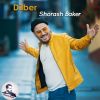 Download track Dilber