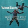 Download track Sunshine / Westbam Electro Remix