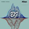 Download track Filter (CASSIMM Extended Remix)