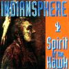 Download track Spirit Of The Hawk (Radio Edit)