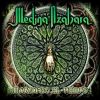 Download track Paseando Por La Mezquita