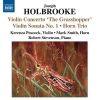 Download track Violin Concerto 'The Grasshopper', Op. 59 - II. Adagio Non Troppo Con Molto Es...