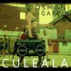 Download track Culeala