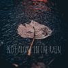 Download track Not Alone In The Rain