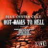 Download track Hot Rails To Hell (Live)