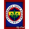 Download track Şampiyonsun Fenerbahçe