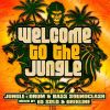 Download track Welcome To The Jungle (Continuous DJ Mix Part 1)