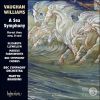 Download track Vaughan Williams: A Sea Symphony 'Symphony No 1' - 2: On The Beach At Night Alone (Largo Sostenuto)